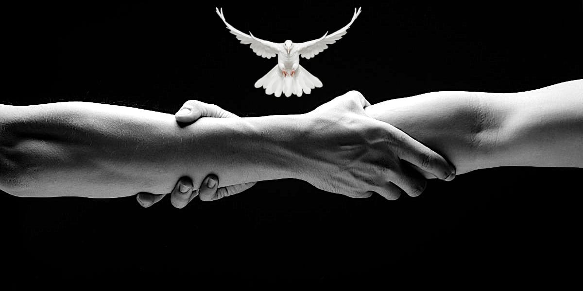 The Flight of Fellowship
