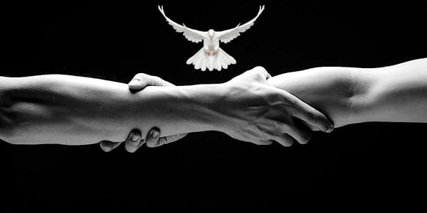 The Flight of Fellowship